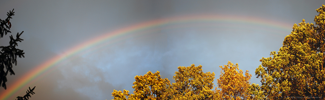 Backyard Rainbow